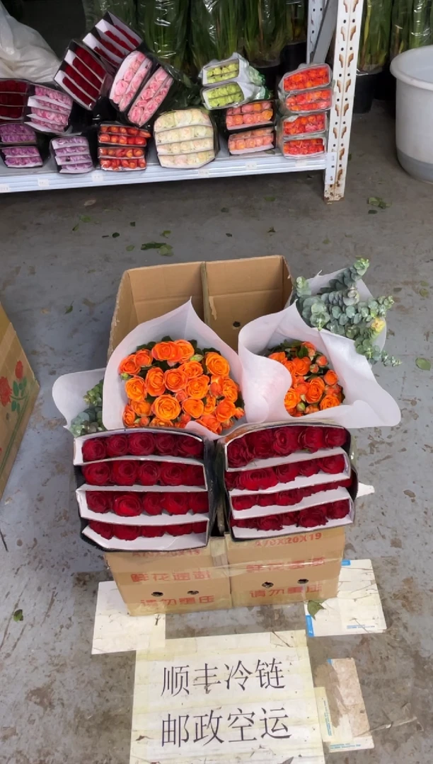 高原红20枝+橙色芭比10枝+尤加利 全量