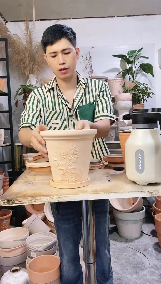 20*19玛奇朵香草 1盆1托