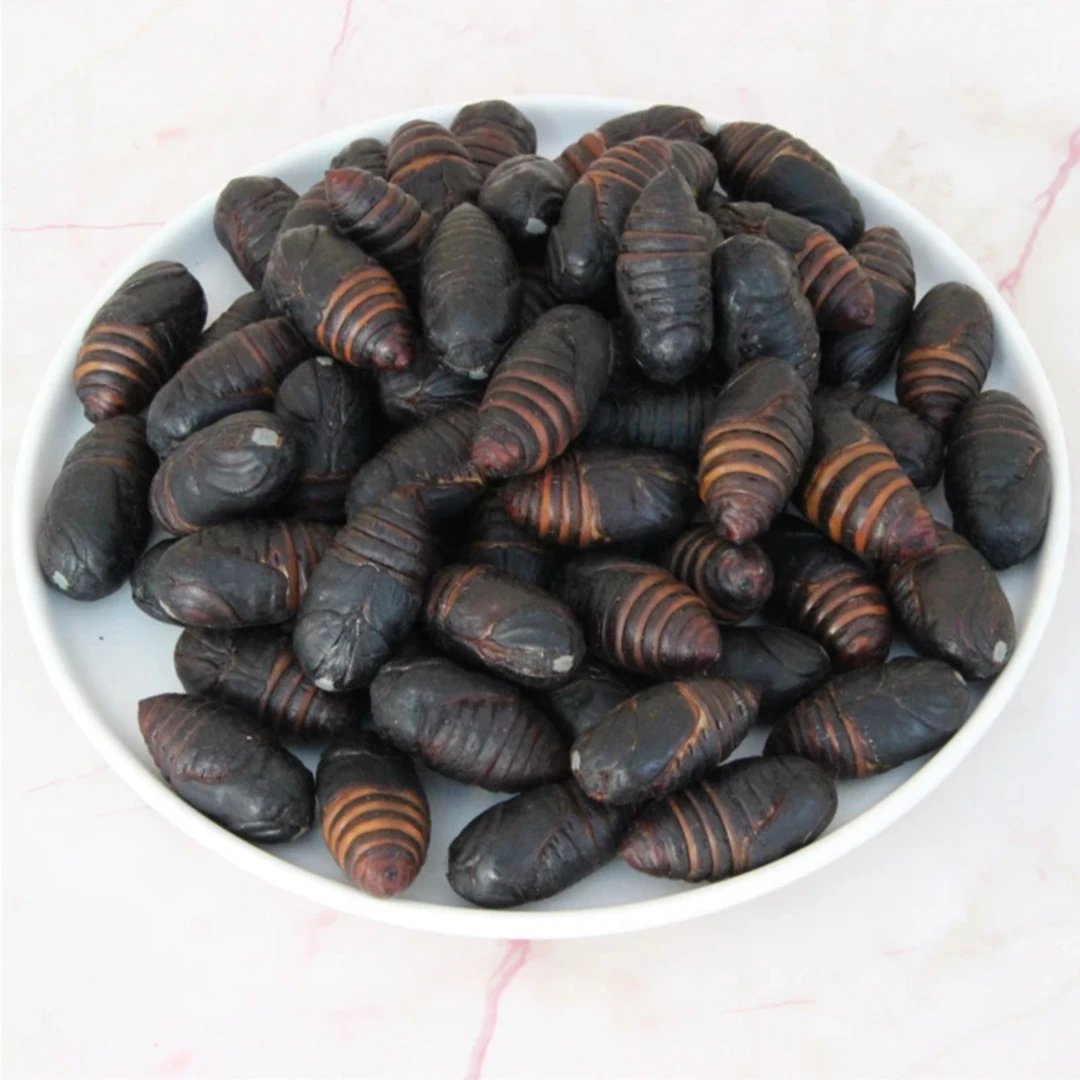 【福利】东北特产高蛋白柞树蚕蛹茧蛹绿色低脂特色美食手扩蚕蛹cyxj
