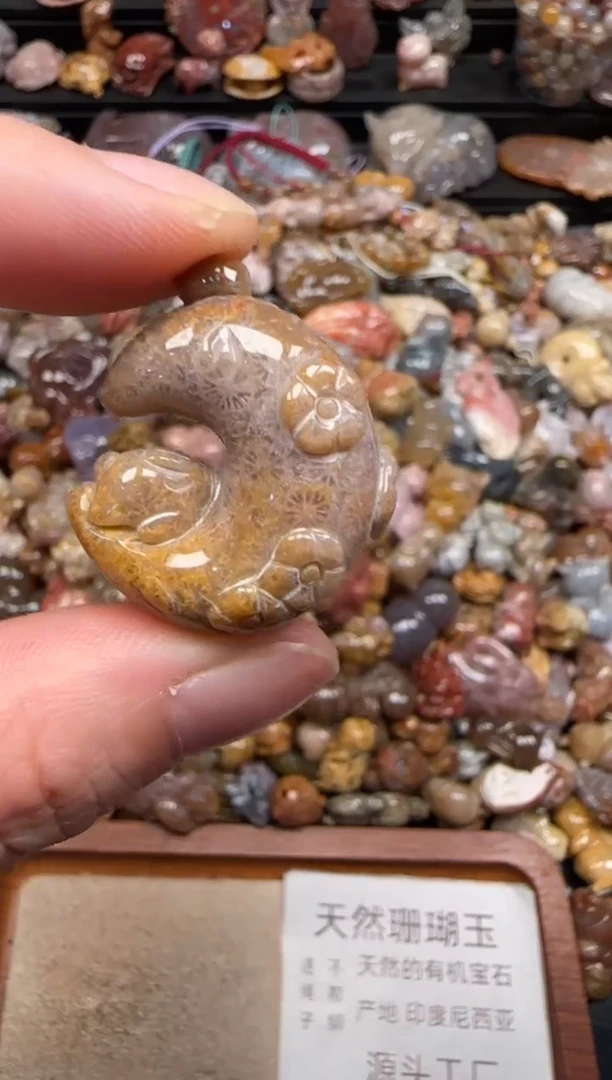 硅化珊瑚（珊瑚玉）未镶嵌颈饰477