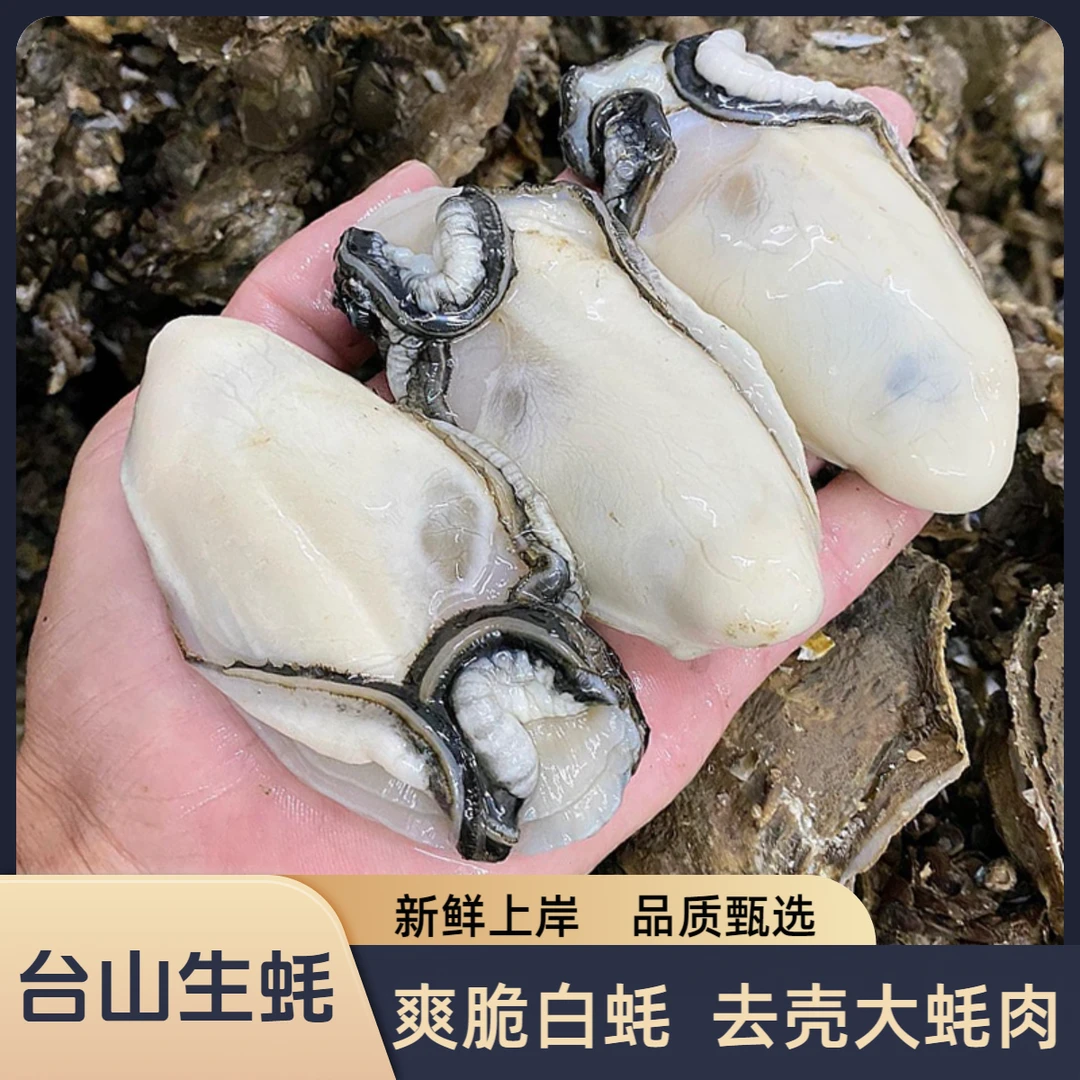 爽脆大蚝肉 台山白玉蚝 新鲜去壳生蚝肉  10~13只/斤/瓶
