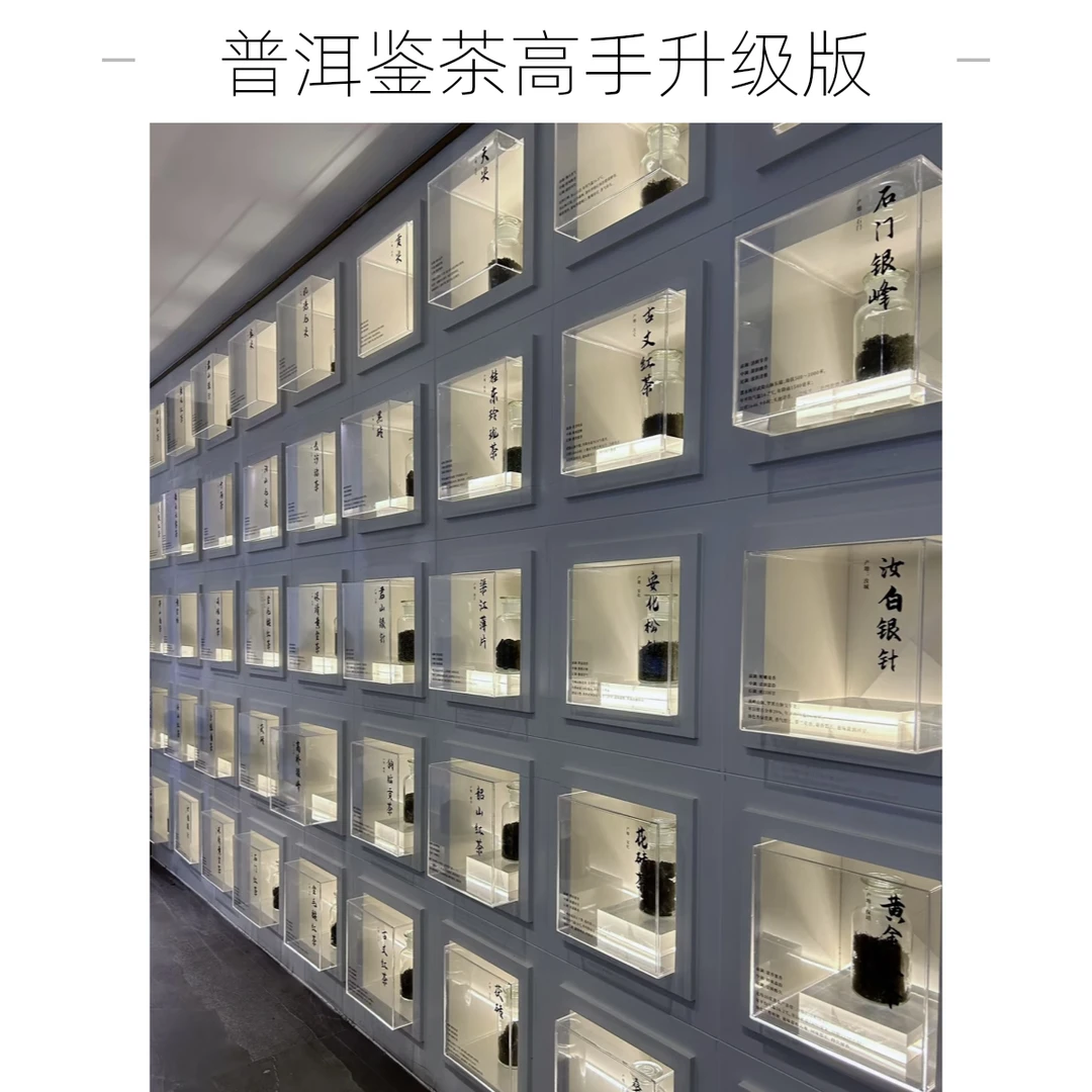 鉴茶高手升级版|古树普洱生茶|陈年普洱熟茶|特级私藏好茶|