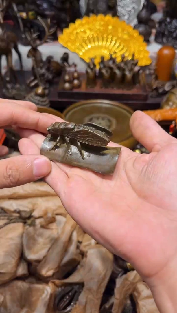 W瑞瑞古铜高端精品9