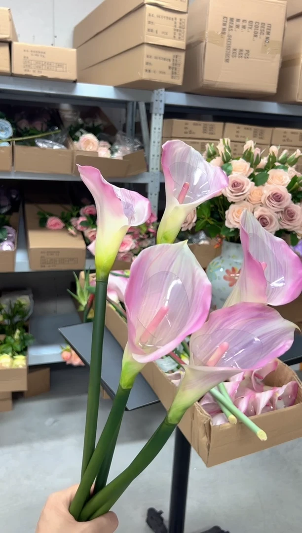 5枝粉色马蹄莲组合