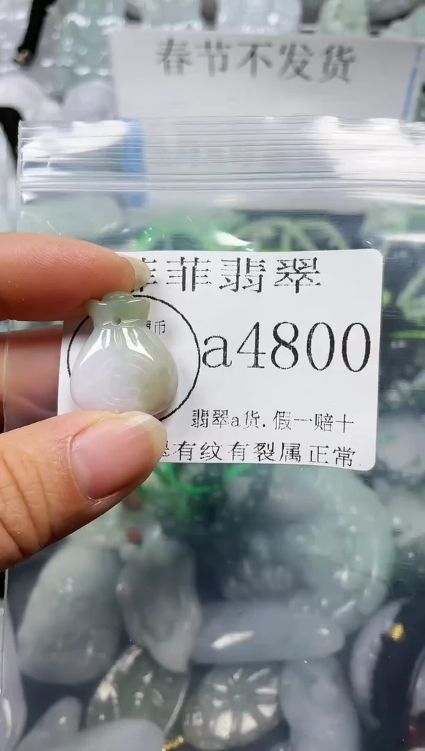 【闪购商品】翡翠颈饰未镶嵌闪购4800