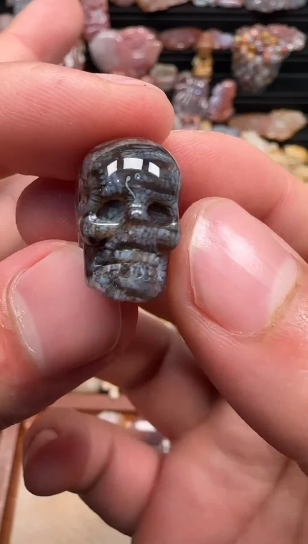 【闪购商品】硅化珊瑚（珊瑚玉）颈饰未镶嵌459