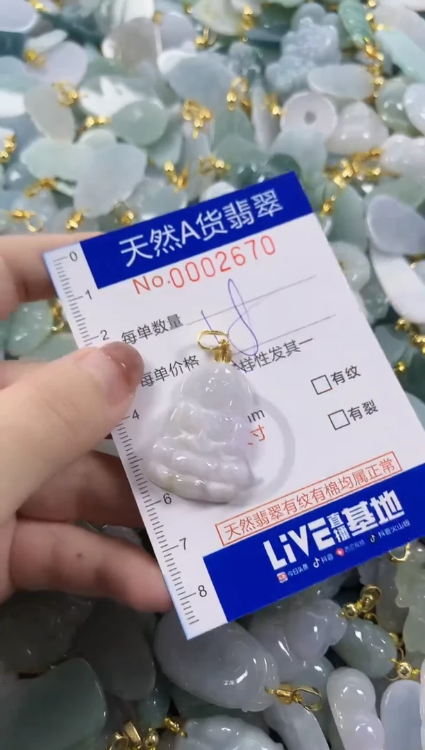 颈饰未镶嵌翡翠天然A货翡翠