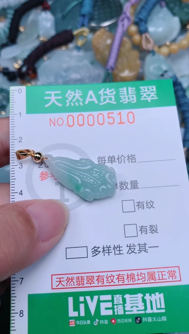 翡翠未镶嵌颈饰.0000510