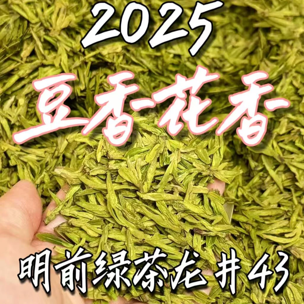 自家茶山2025年茶农春茶新茶高山不打药明前头采龙井43号绿茶叶