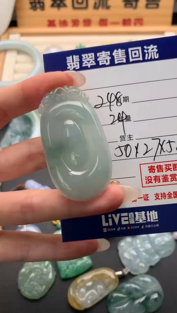 翡翠未镶嵌颈饰10135895