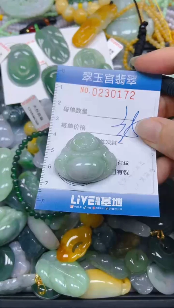 颈饰未镶嵌翡翠闪购C0230172