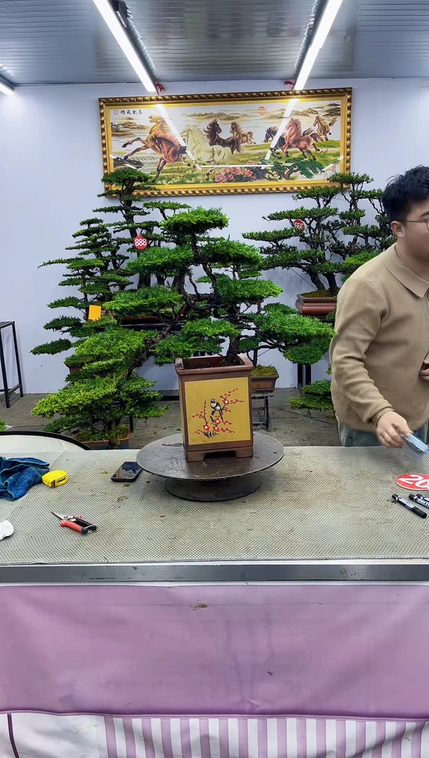 啊啊啊啊啊啊啊啊啊啊啊啊啊