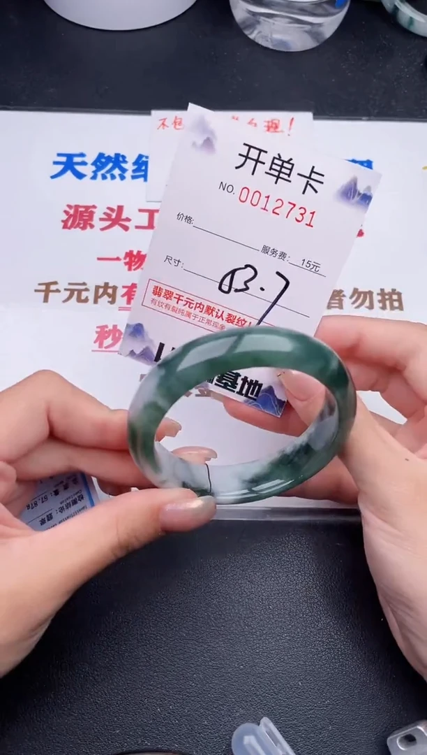 未镶嵌手镯翡翠31