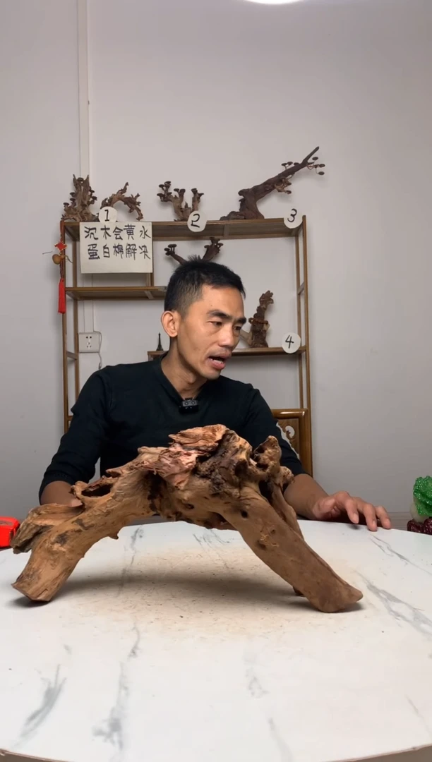 好鱼缸造景沉木摆件