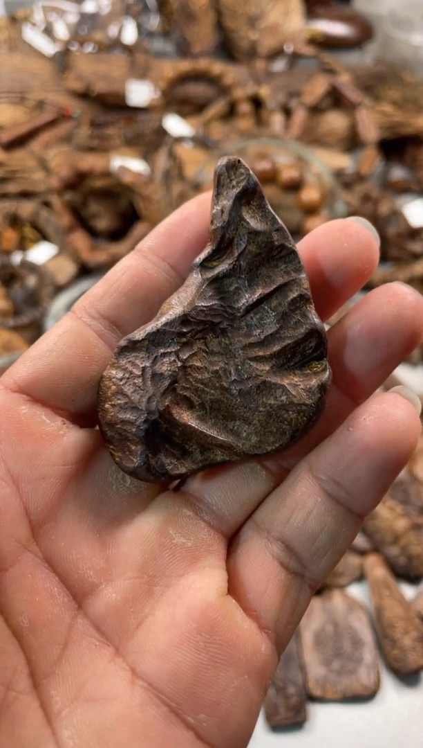 沉香沉香碎屑达拉干  沉香8.3