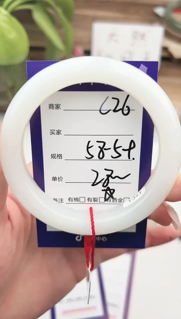 未镶嵌手镯和田玉微色差C26