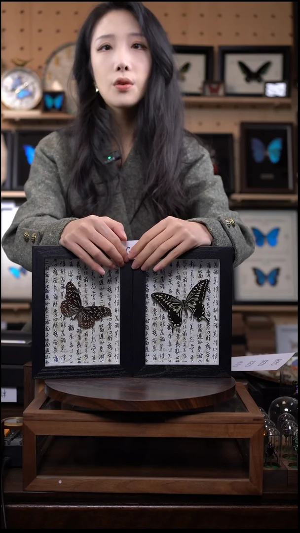 微瑕蝴蝶标本摆件一口价g8