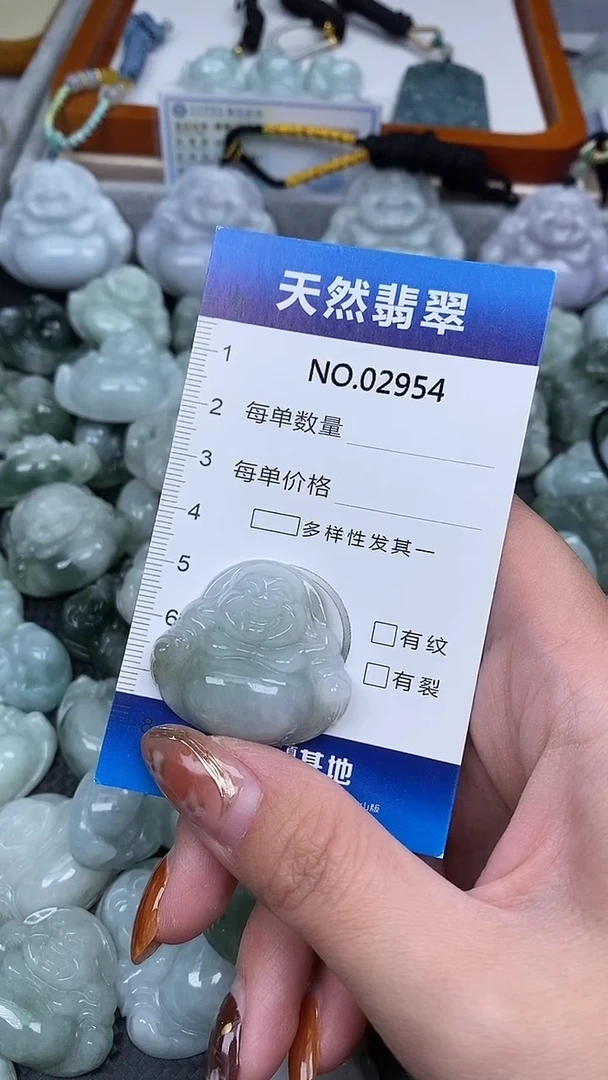 颈饰未镶嵌翡翠纯天然A货翡翠2954