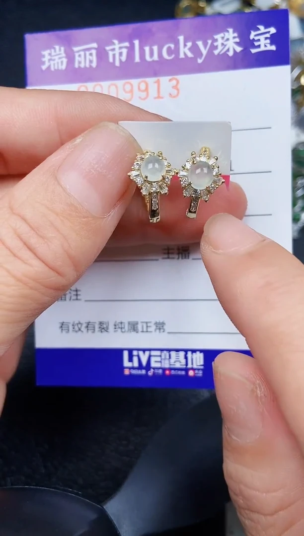 翡翠银S925镶嵌颈饰9913