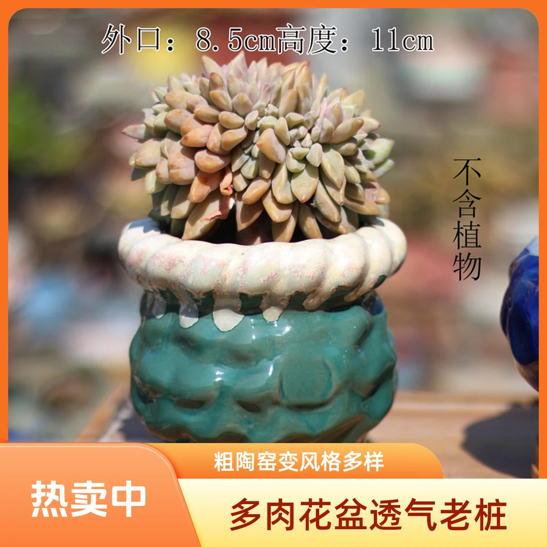 包邮精品多肉花盆粗陶透气盆窑变流釉老桩盆控养肉肉盆透气陶盆