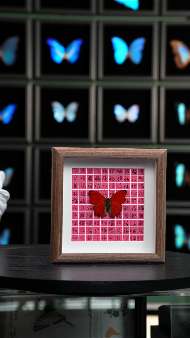 血漪蛱蝶百福款木纹框