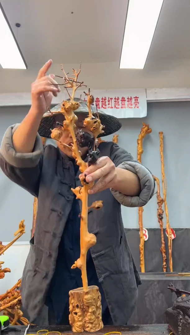 【闪购商品】黑果木其他黑果木819