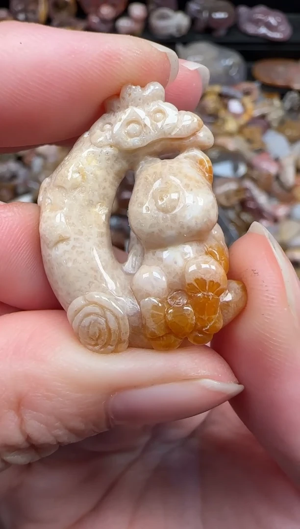 颈饰未镶嵌硅化珊瑚（珊瑚玉）686