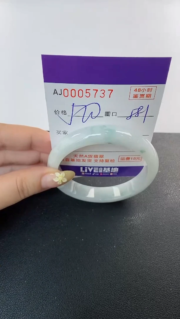 未镶嵌手镯翡翠天然A货翡翠