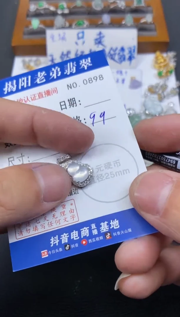 【闪购商品】翡翠颈饰银S925镶嵌多样性发其中一件