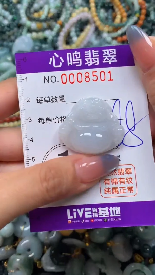 颈饰未镶嵌翡翠闪购008501