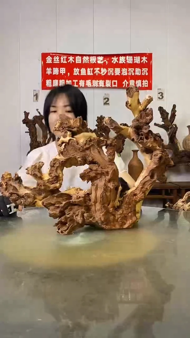 香榧木名****）金丝红木   羊蹄甲