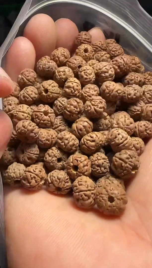 手串金刚菩提非全品老树王散籽8-9mm一份一百颗