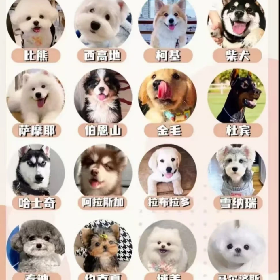 保障通用 三号链接相册