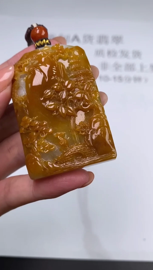 未镶嵌挂件翡翠307177       多人