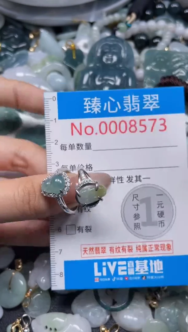 颈饰未镶嵌翡翠8573