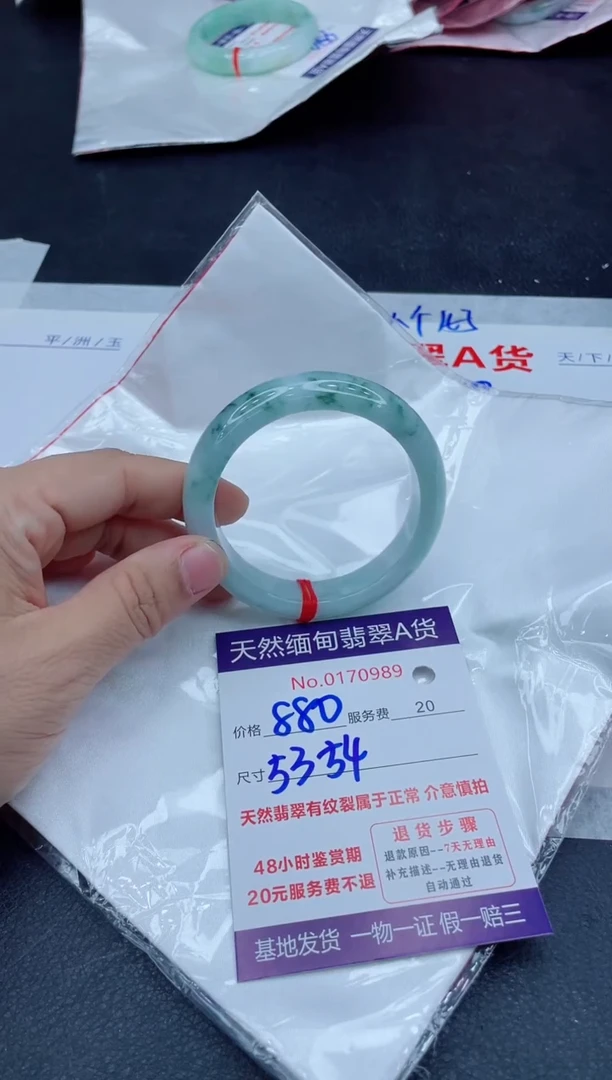 未镶嵌手镯翡翠880.00000