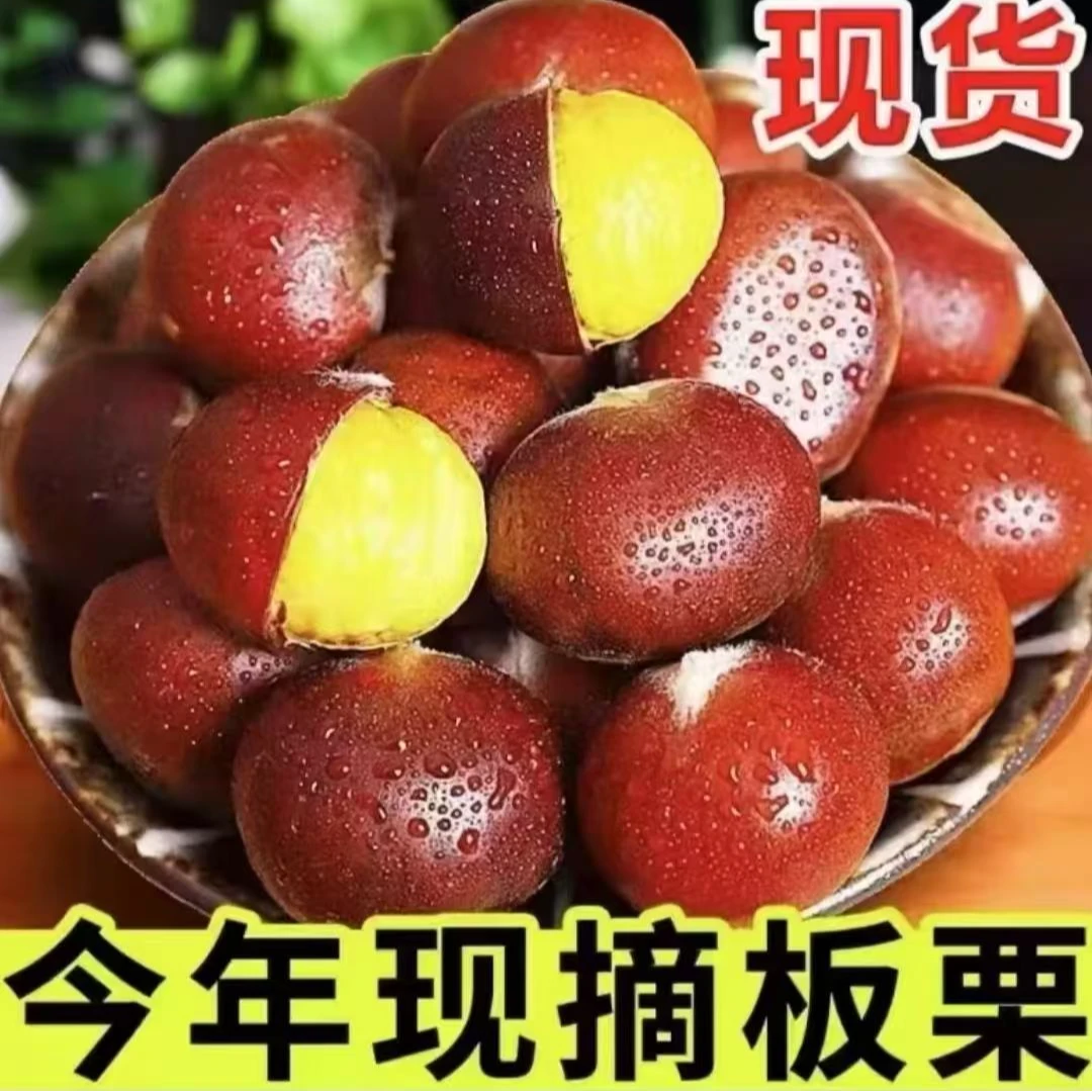 【买3斤送2斤】2025年新鲜现摘高山板栗甘甜清脆生栗子板栗送开栗爪