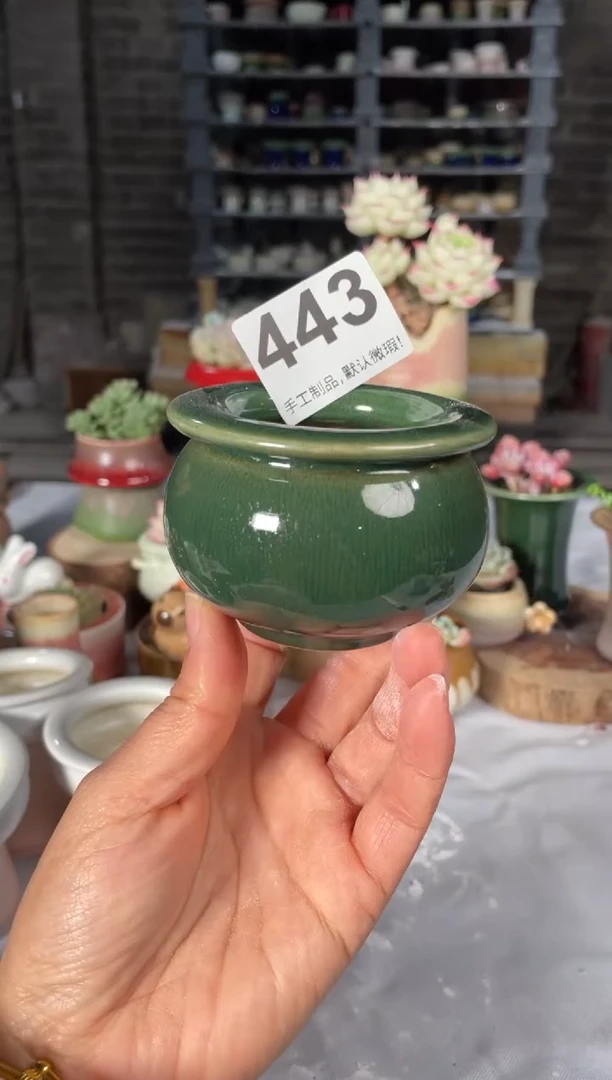 瓷片443微瑕小芳直播编号