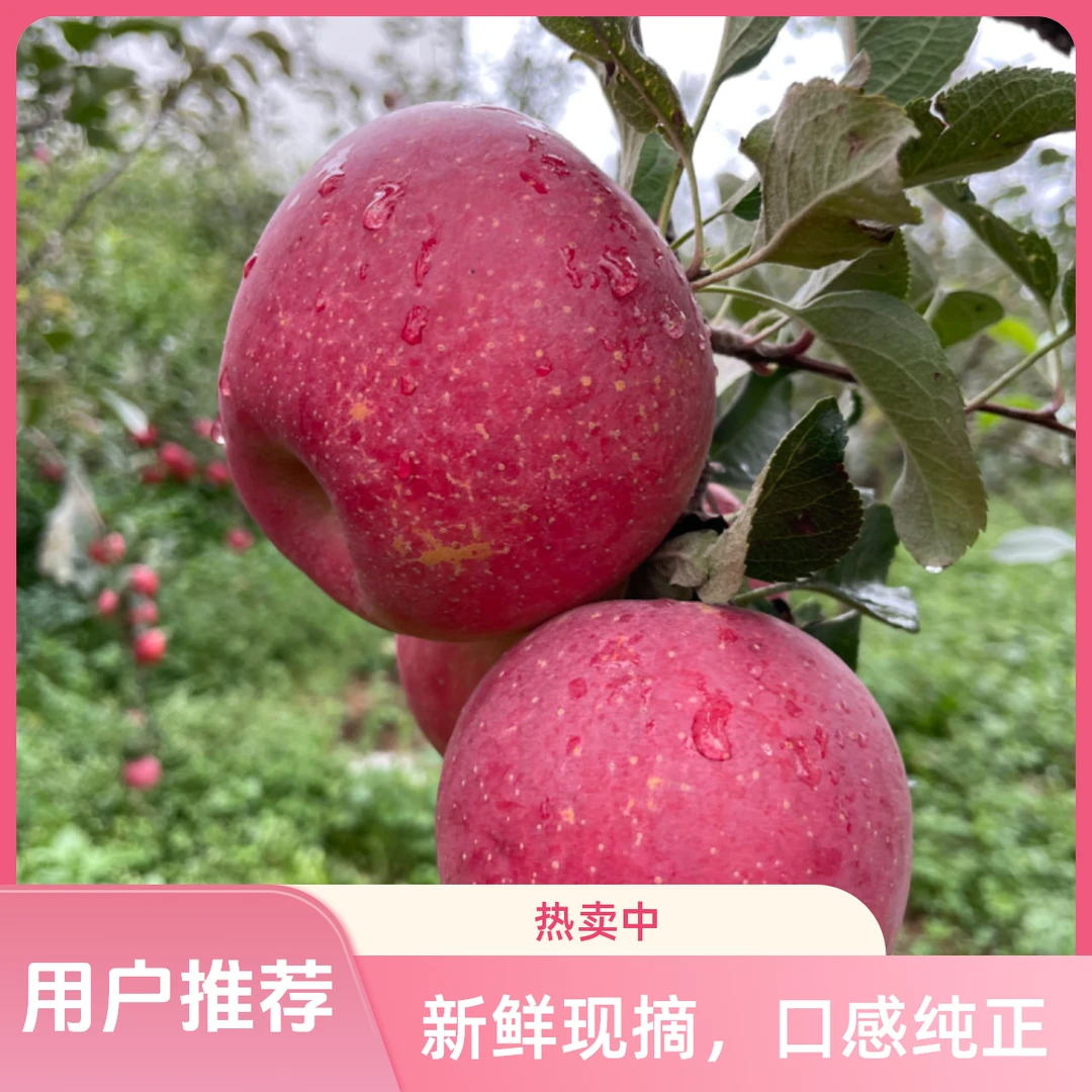 正宗云南高原自然熟华硕苹果无糖心脆甜多汁产地直发新鲜水果