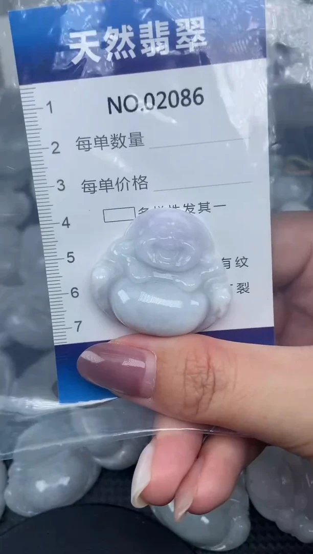 颈饰未镶嵌翡翠纯天然A货翡翠2086