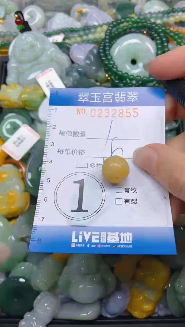 颈饰未镶嵌翡翠闪购C0232855