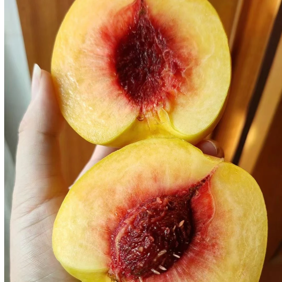 公益助农 宜昌高山种植锦绣黄桃现采应季新鲜水果红心桃子大果5斤