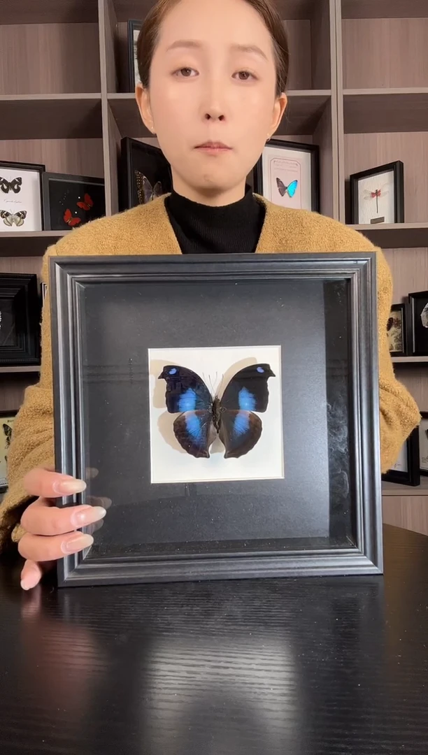 实木竖款爱情鸟蛱蝶（蝴蝶装饰画8寸框）