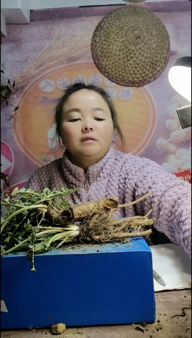 少量花朵（建议范围：2朵-5朵 或40%以下）用****4蒲公英