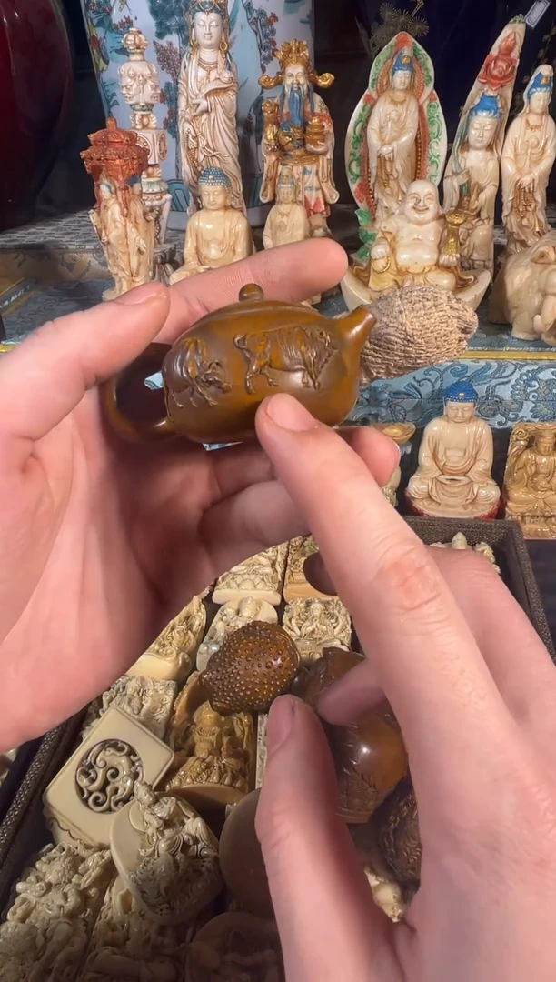 黄杨木1111111111111