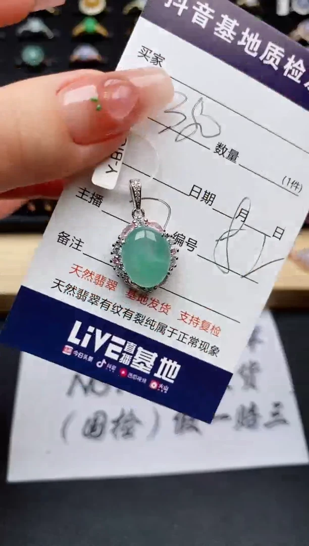 翡翠银S925镶嵌颈饰.........