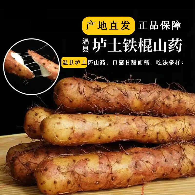 河南焦作垆土温县新鲜铁棍怀山药粉糯净重铁棍山药特色蔬菜滋补