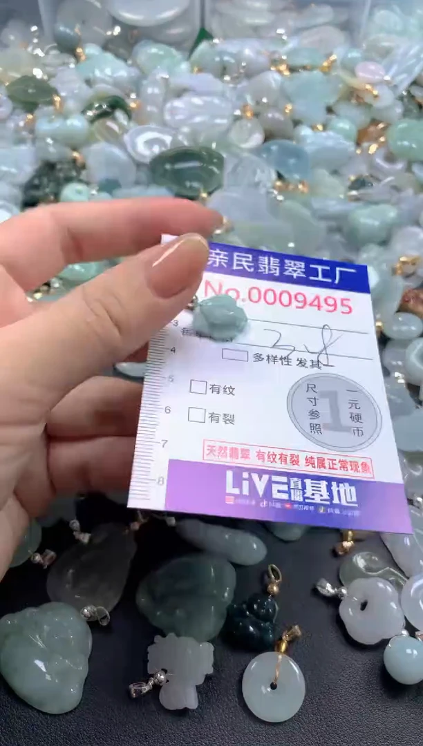 颈饰未镶嵌翡翠9495