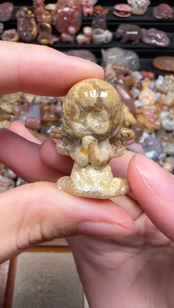 颈饰未镶嵌硅化珊瑚（珊瑚玉）318