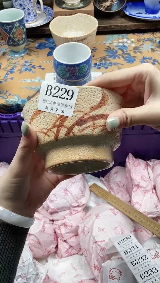 瓷片彩*慢                B229